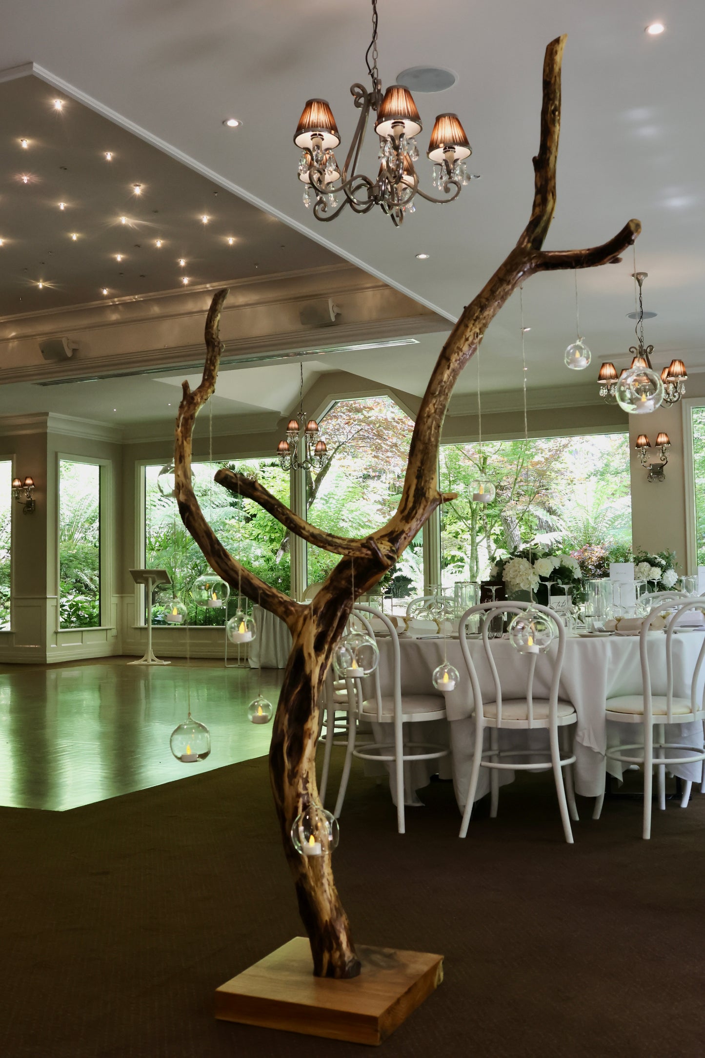 The Glowing Tree- Your choice of Wishing Tree or Money Tree