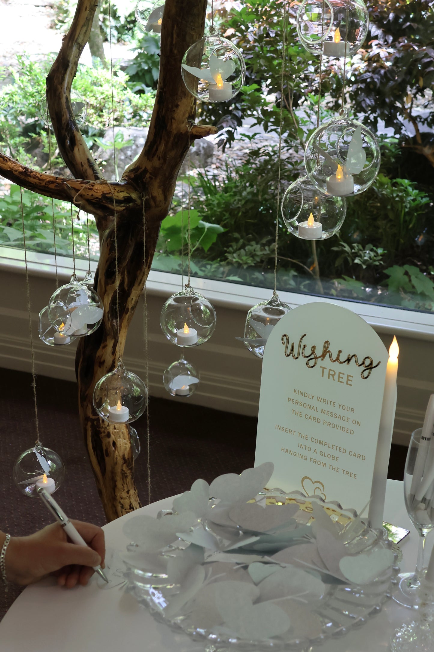 The Glowing Tree- Your choice of Wishing Tree or Money Tree